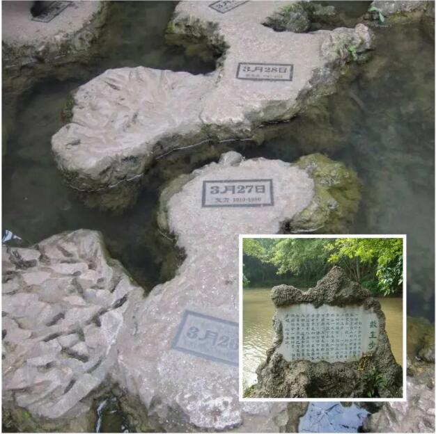 QQ截图20201023095930