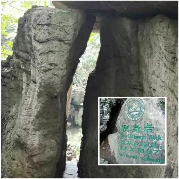 QQ截图20201023095950