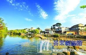 黄果树