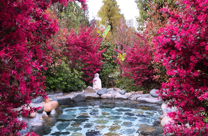 1622786190169373.jpeg wKgEaVyaDP2ABESXAHbtfjrni8s15.jpeg