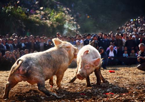 1623223475451247.jpg u=18690725567,18690725567&fm=26&gp=0.jpg