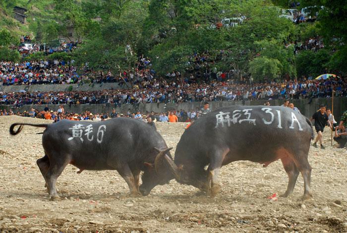 1623223483275663.jpg src=https___www.chinamzw.com_UploadFiles_Image_201406_503316001.jpg&refer=https___www.chinamzw.jpg