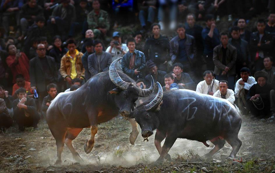 1623223540388176.png QQ截图20210609100127.png