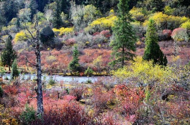 1623303005181996.jpg 75 (1).jpg