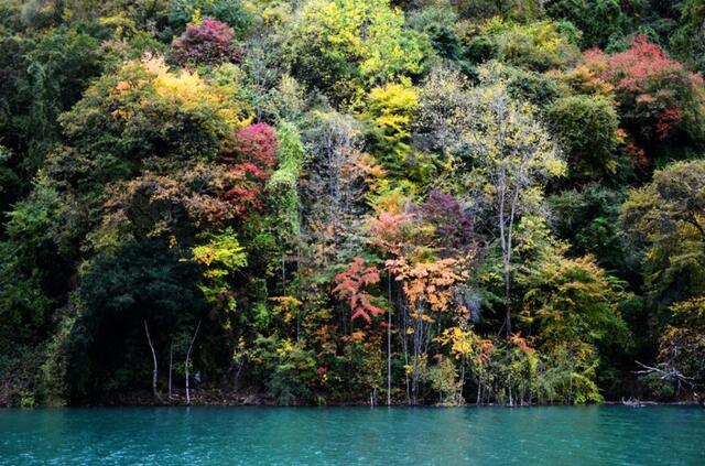 1623303033128781.jpg 75 (2).jpg