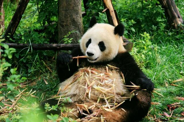 1623303151101236.jpg 75 (7).jpg