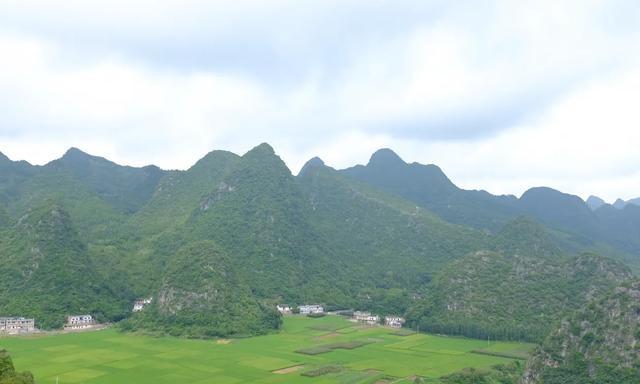 1625119576608278.jpg 75 (5).jpg