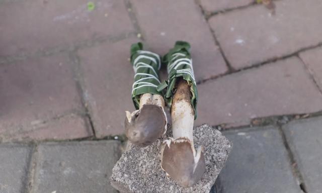 1625119626386321.jpg 75.jpg