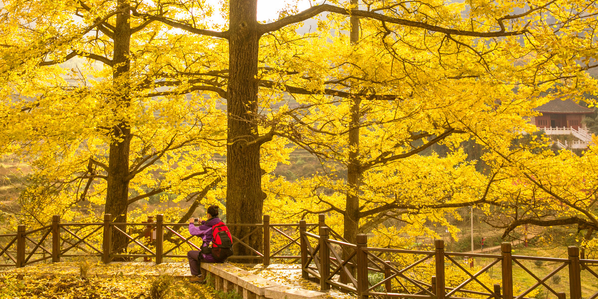 1625211142645155.jpg src=https___photo.tuchong.com_1047140_f_20068526.jpg&refer=https___photo.tuchong.jpg