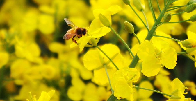 1636860955581032.png image.png