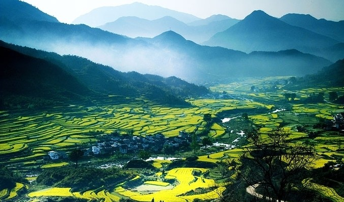 1636861007629473.png image.png