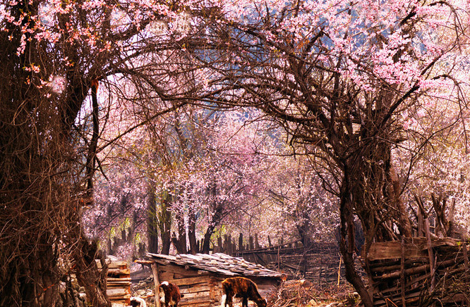 1636861026669318.png image.png