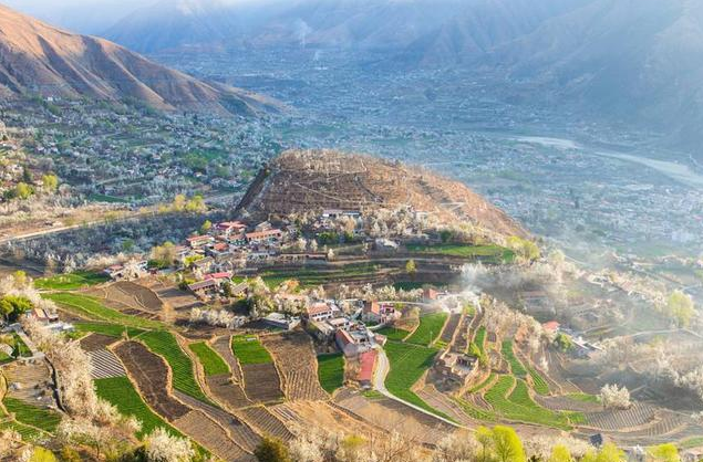 1636861048516317.png image.png