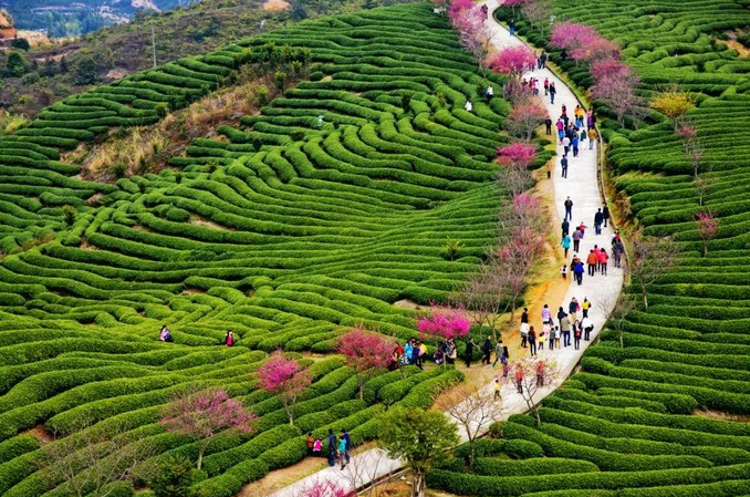 1636947036991425.png image.png