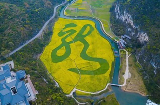 1636947047546668.png image.png