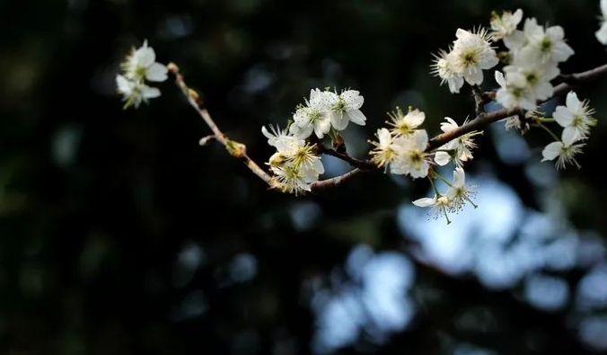 1636947069865508.png image.png