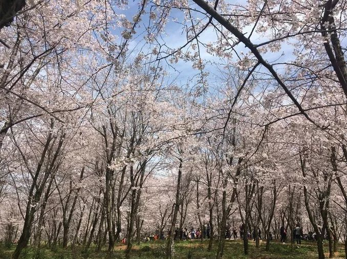 1636947132792795.png image.png