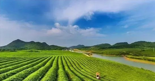 1636947153561435.png image.png