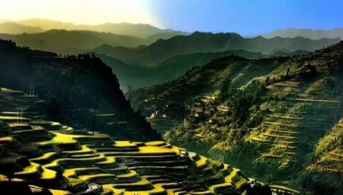 1636947184444716.png image.png