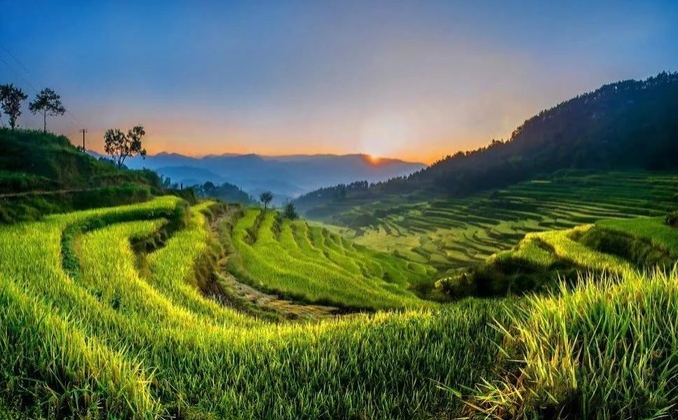 1636947289901588.png image.png