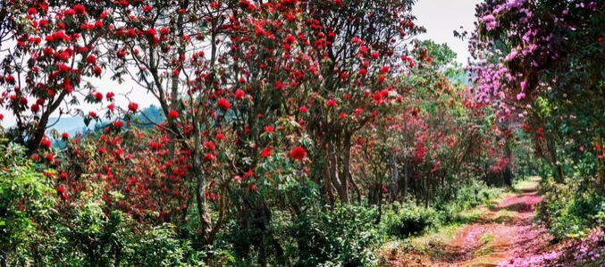 1636947324746267.png image.png