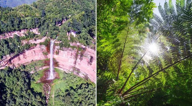 1636947491914633.png image.png