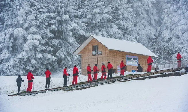 1637026188998044.png image.png