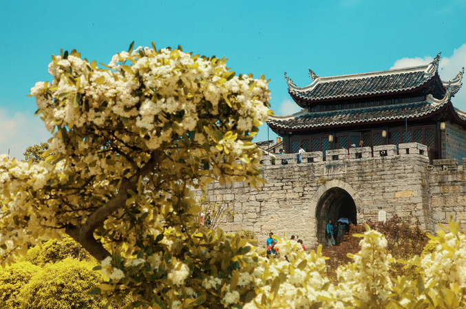 1637214513715032.png image.png