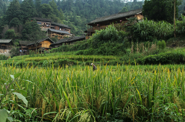 1637214631168151.png image.png