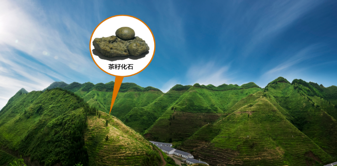 1640311641390982.png image.png