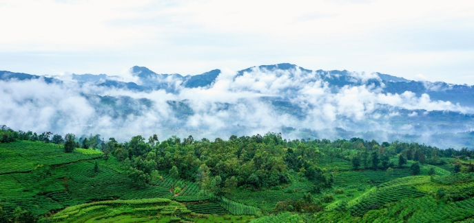 1640311657377547.png image.png