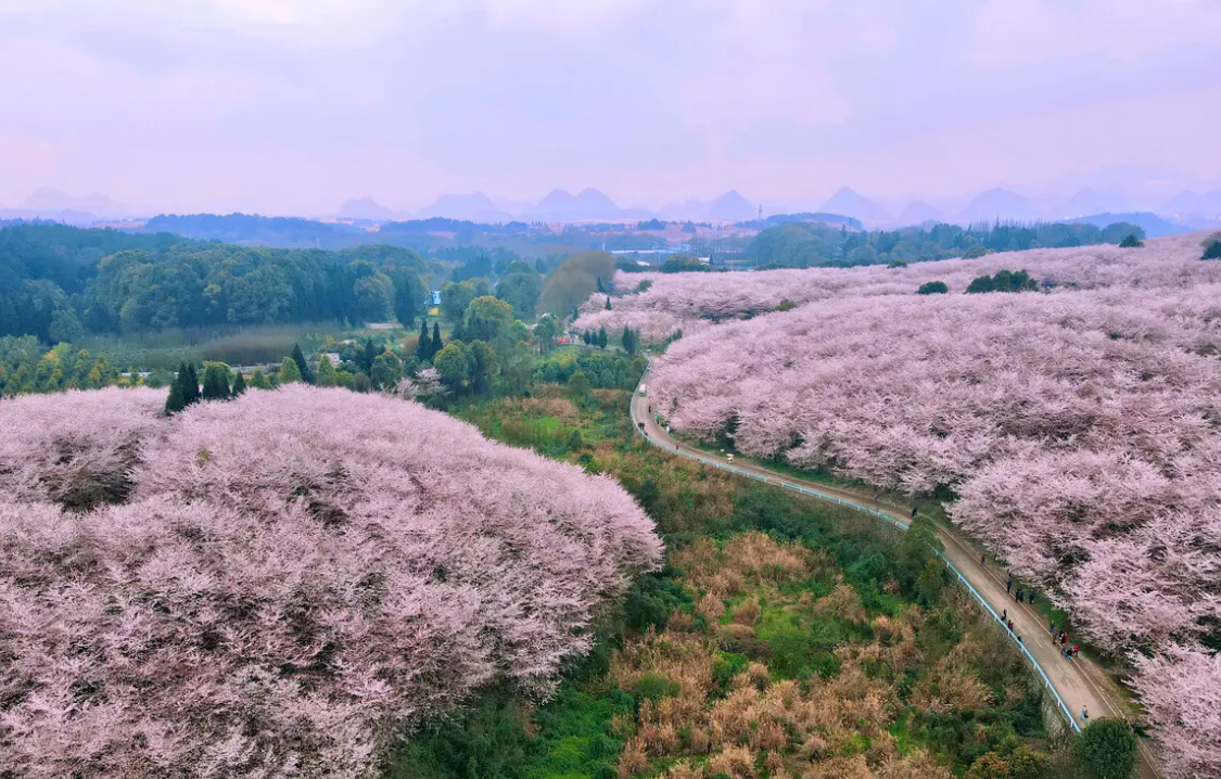 1647411132822715.png image.png