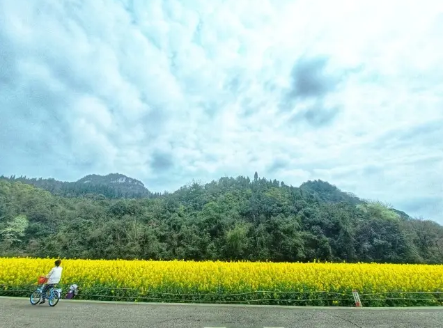 1648534170442032.png image.png