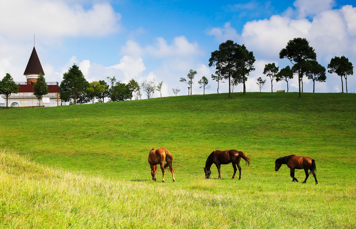 1648534217242537.png image.png