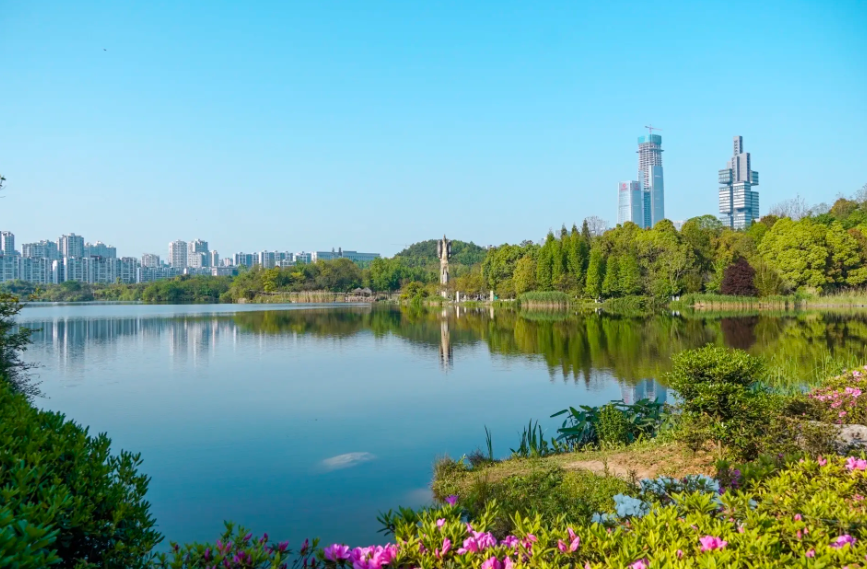 1648534273629218.png image.png