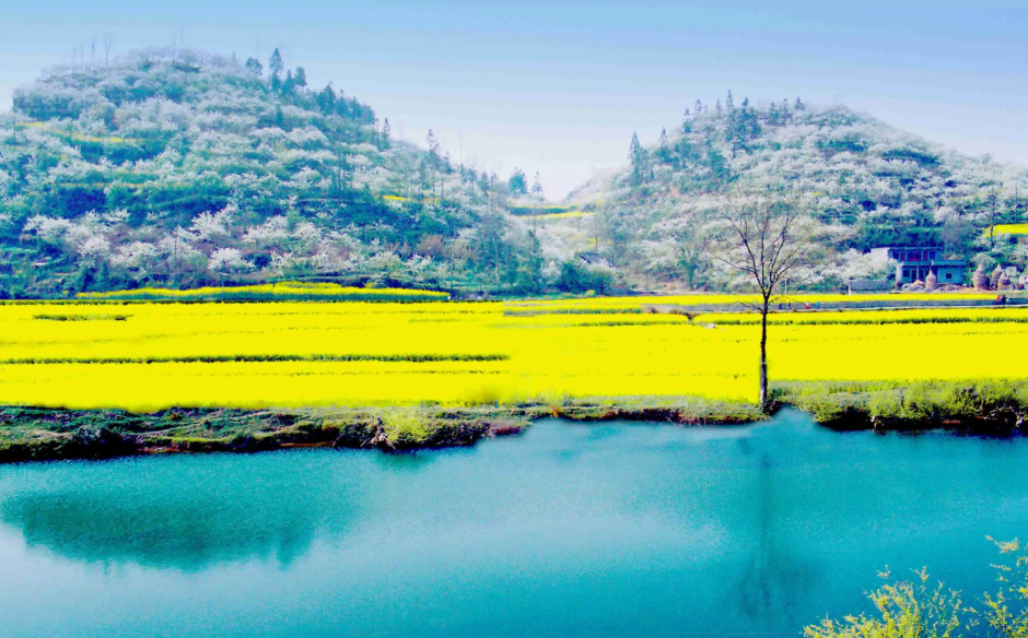 1649818849478784.png image.png