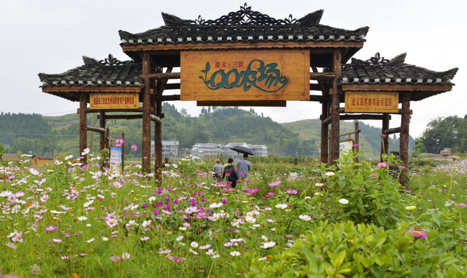 1649819087866913.png image.png