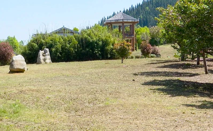 1649827853356024.png image.png