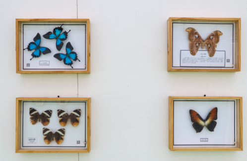 1650265322940841.png image.png