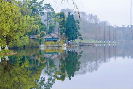 1650265598931572.png image.png