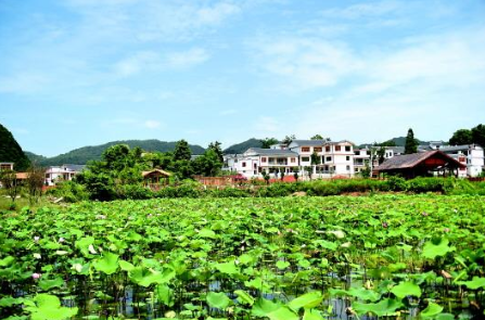 1650265629698863.png image.png