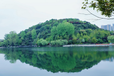 1650265643256855.png image.png