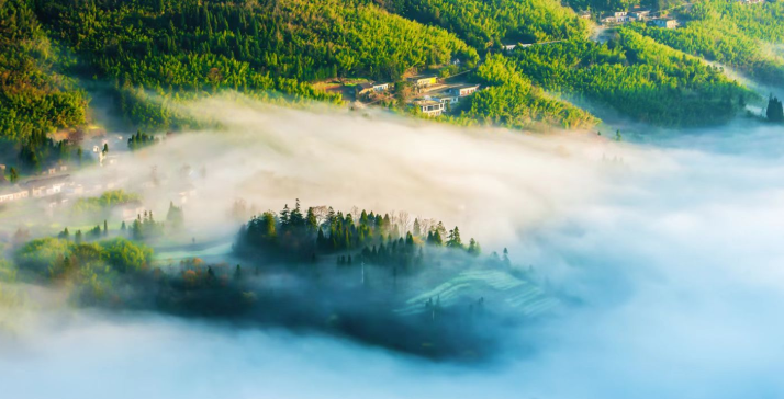 1650267455583181.png image.png