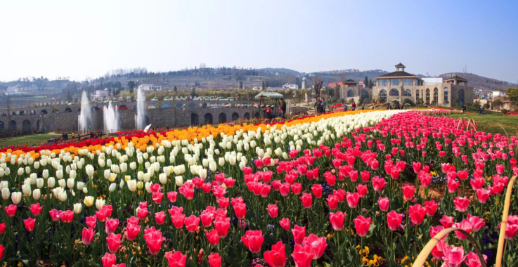 1650267493323704.png image.png