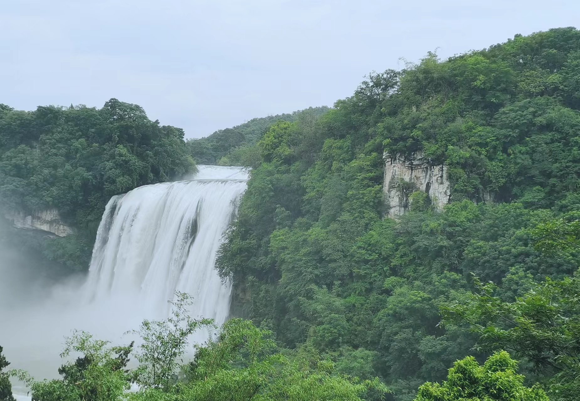 1655349847539232.png image.png