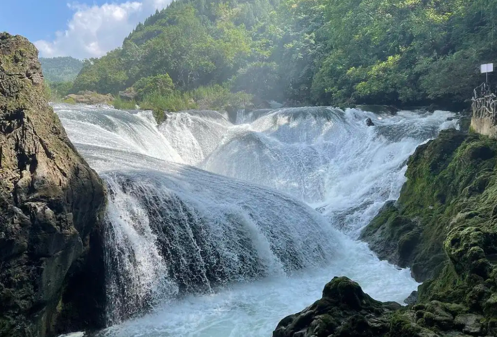 1655349966317069.png image.png