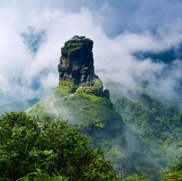 1655350323839875.png image.png