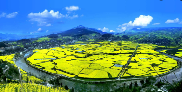 1659768072848773.png image.png