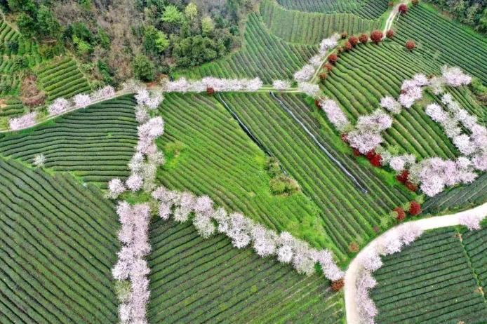 1661826138843061.png image.png