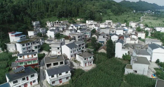 1661826158987306.png image.png